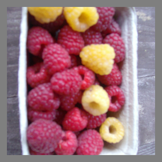 Himbeeren