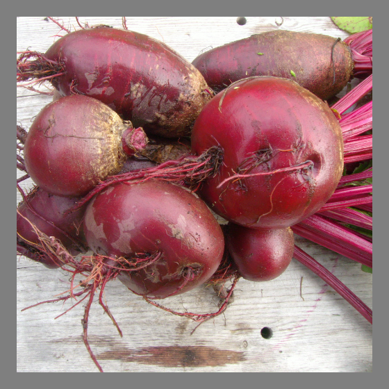 Rote Bete